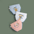 Boy's Underpants Three Packs